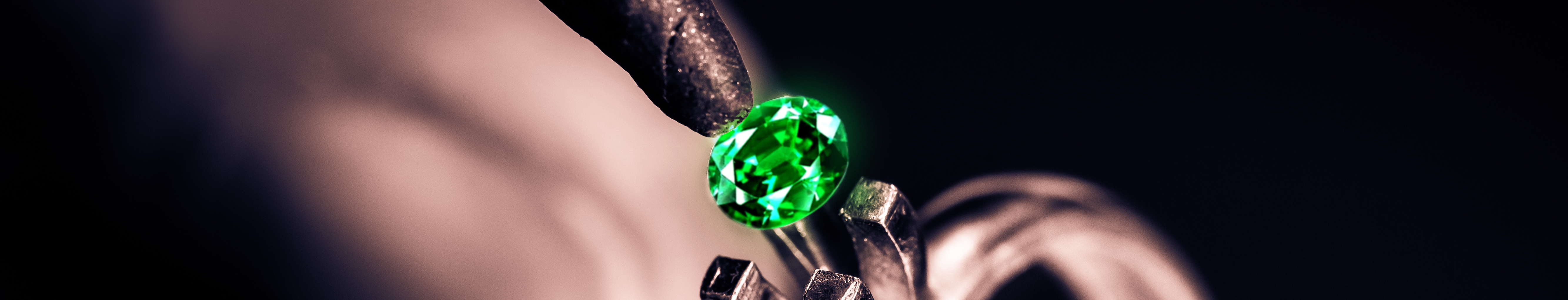 ShreeRajJewellers
